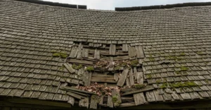 Why Roof Suitability Matters